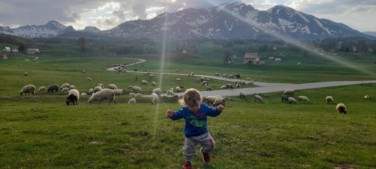 Žabljak Organic Family Farm酒店 外观 照片