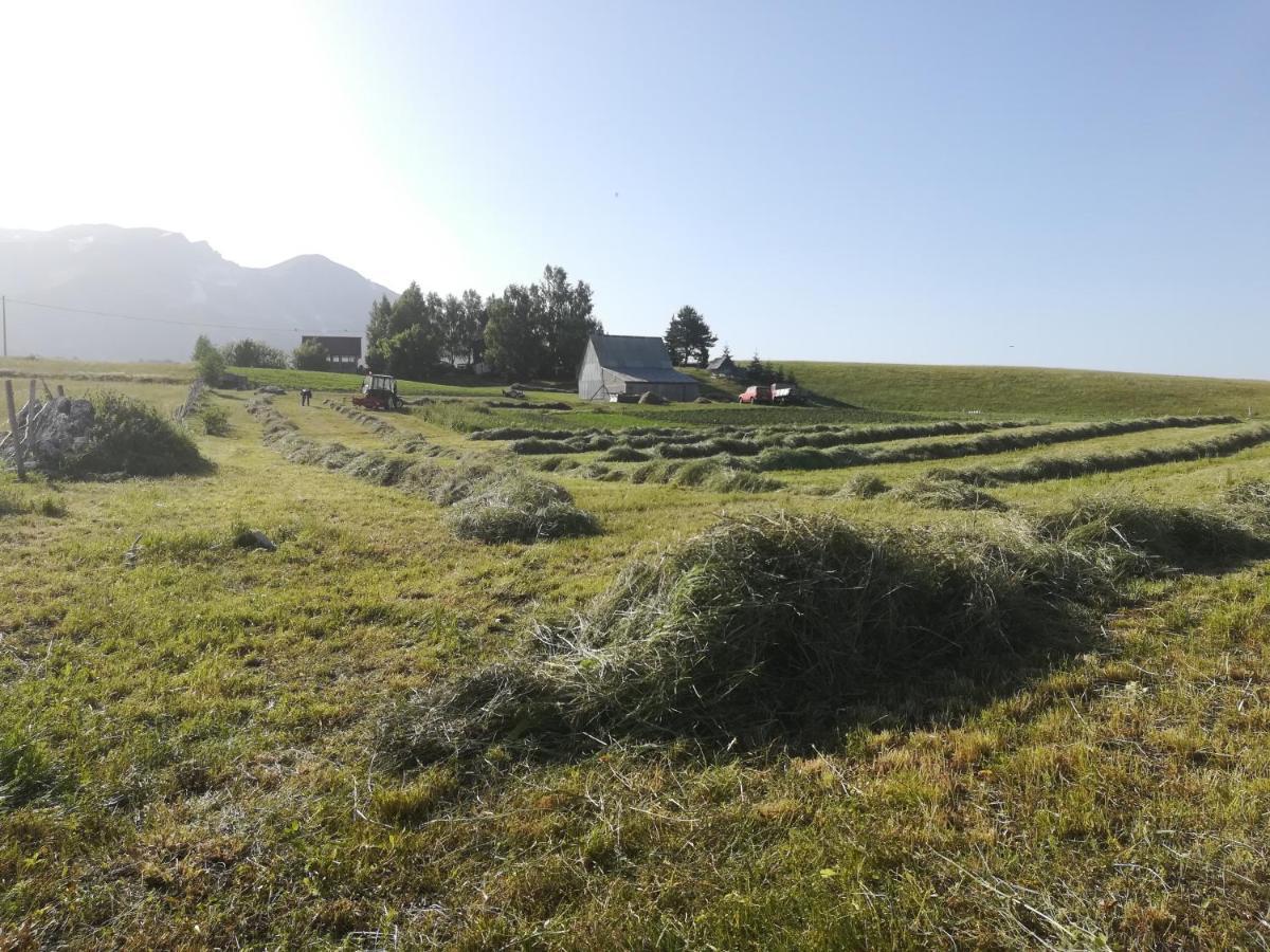 Žabljak Organic Family Farm酒店 外观 照片