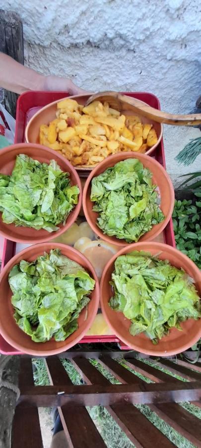 Žabljak Organic Family Farm酒店 外观 照片
