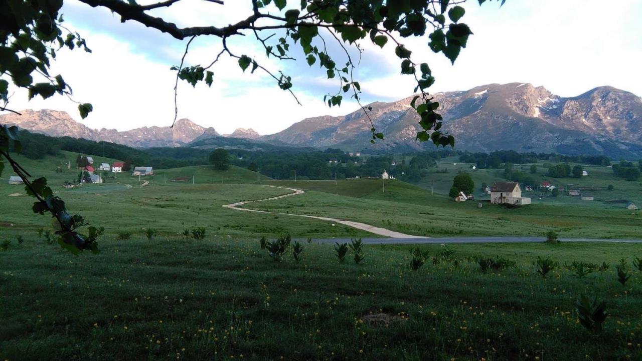 Žabljak Organic Family Farm酒店 外观 照片