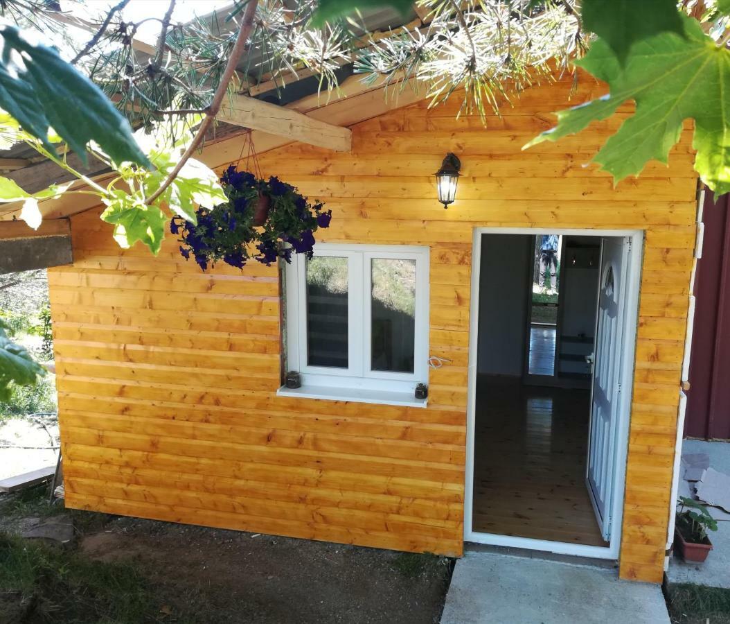 Žabljak Organic Family Farm酒店 外观 照片