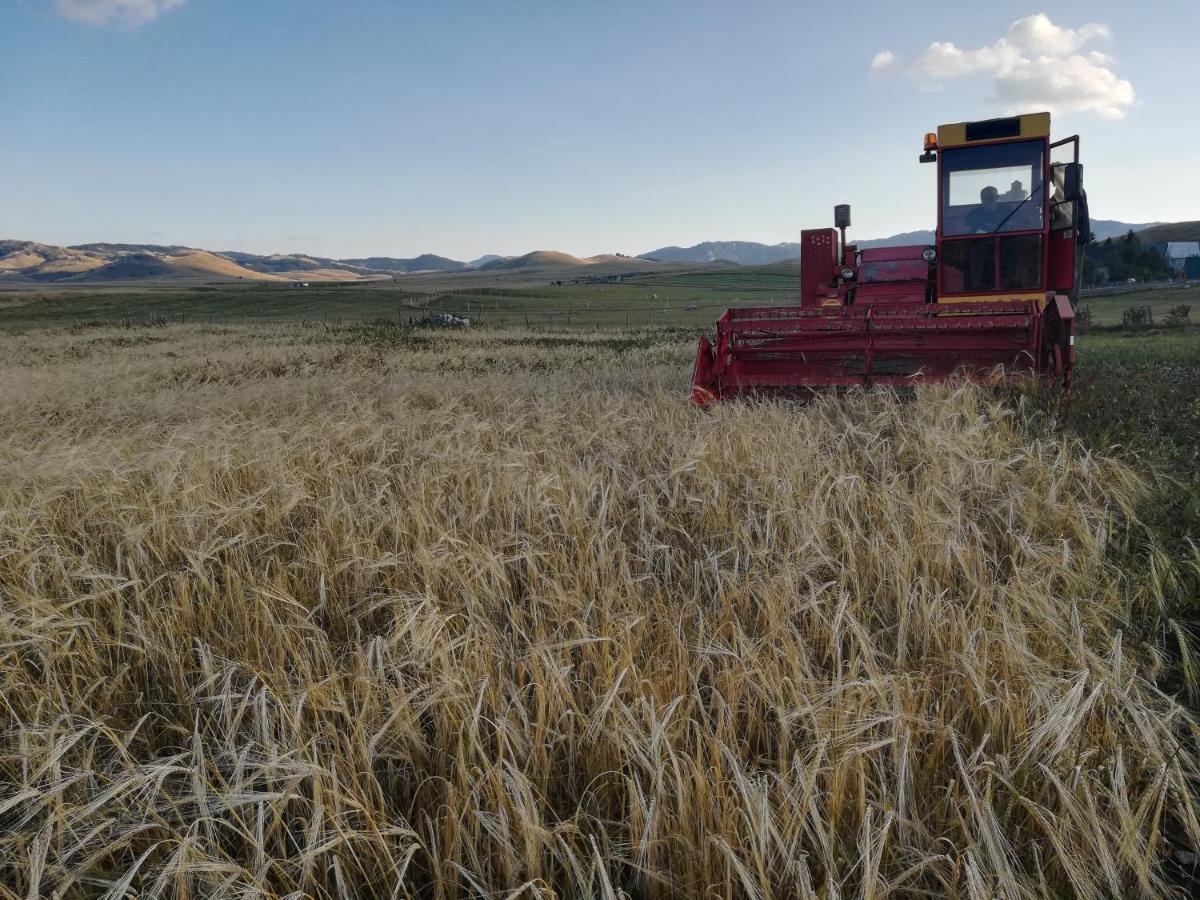Žabljak Organic Family Farm酒店 外观 照片
